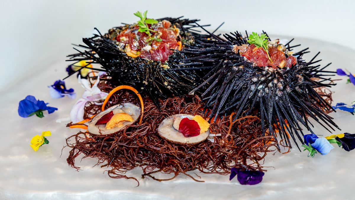 A colorful seafood &ldquo;nest&rdquo; of black noodles with tomato topping, sliced eggs, prosciutto, and herb garnish, plated on a white base.